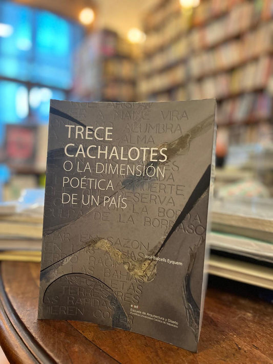 Trece cachalotes o la dimensión poética de un país