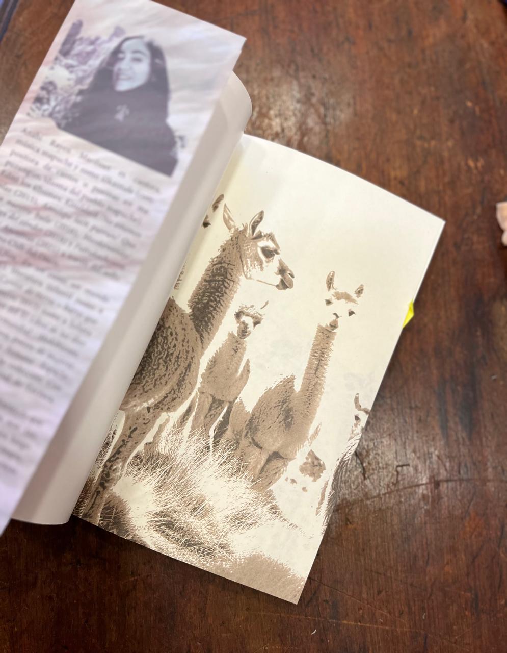 Flor. Amiga de diez guanacos