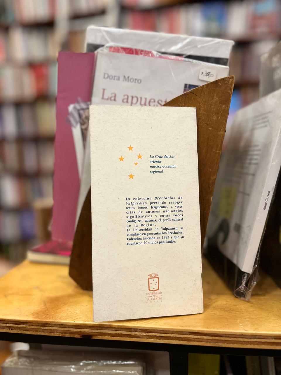 La melancolía del progreso urbano en dos poetas de Valparaíso