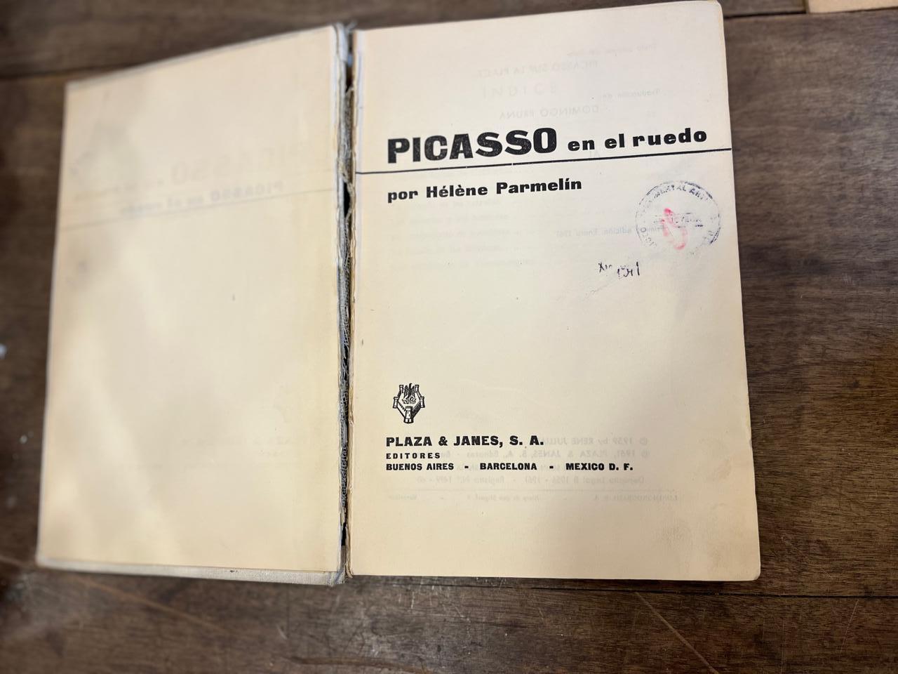 Picasso en el ruedo