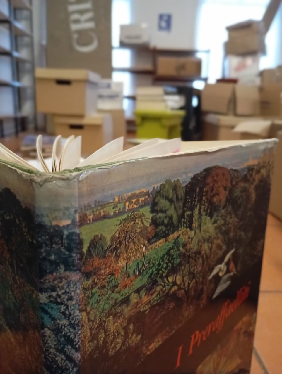 Mensili d´Arte. Tomo 14. I Preraffaelliti