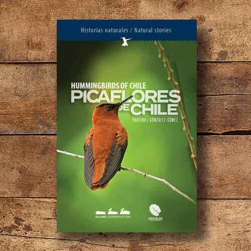 Picaflores de Chile