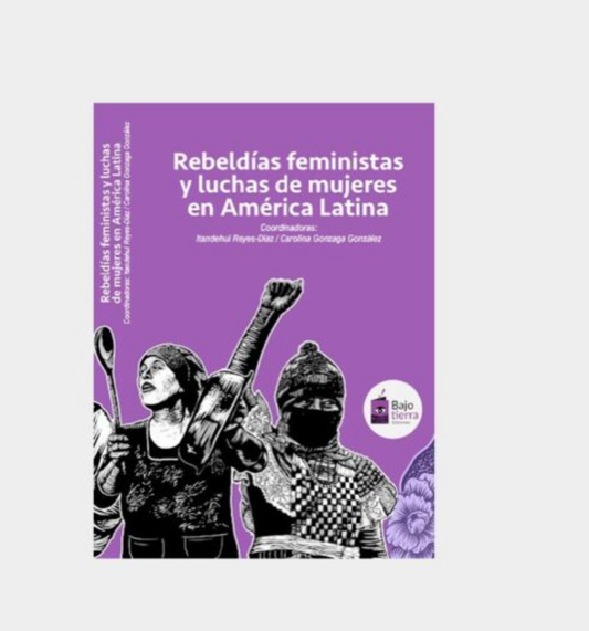 Rebeldías feministas y luchas de mujeres en América Latina