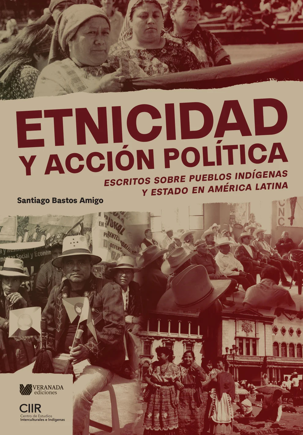 Etnicidad y acción política