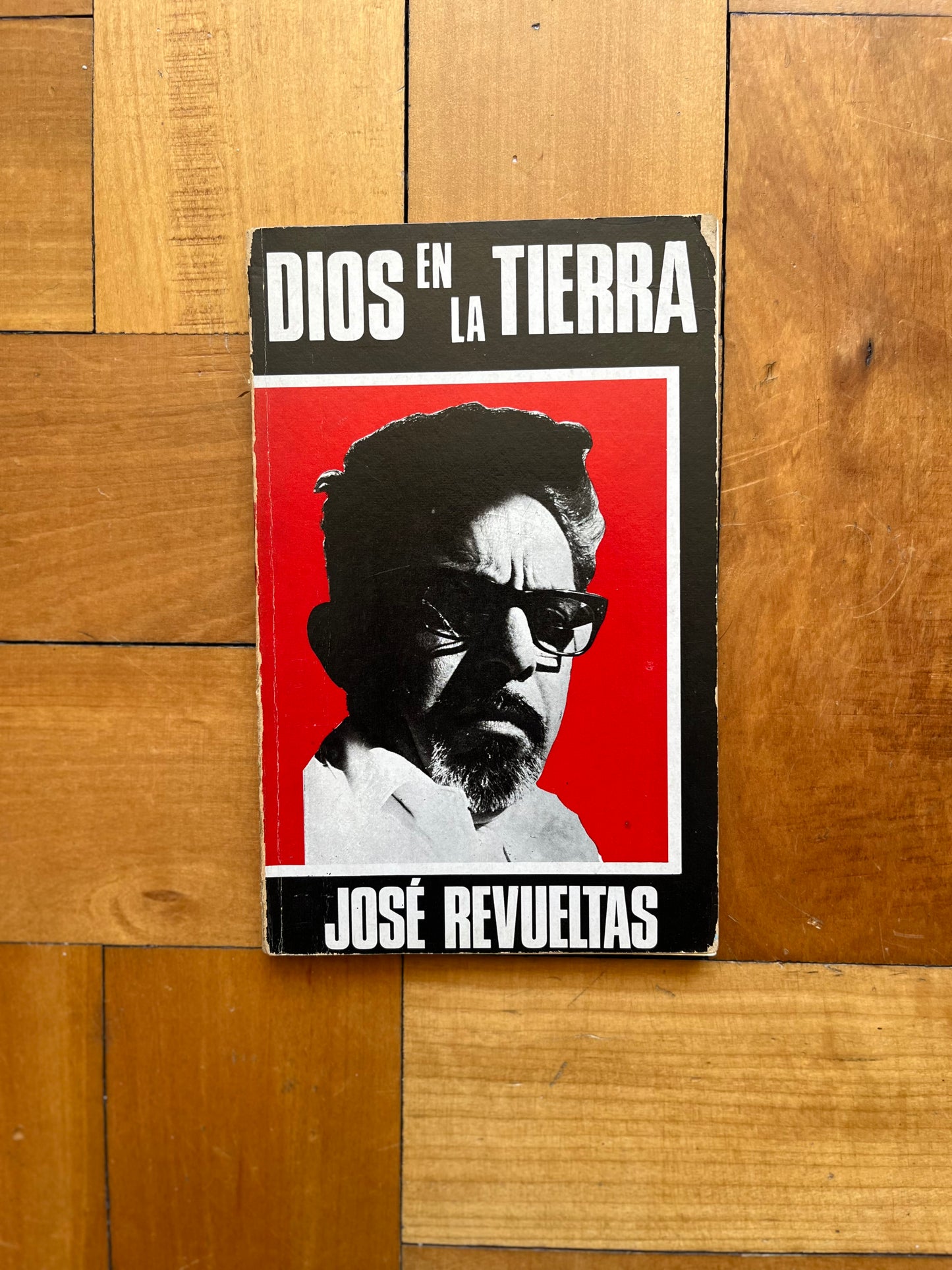 Dios en la tierra. Primera Edición