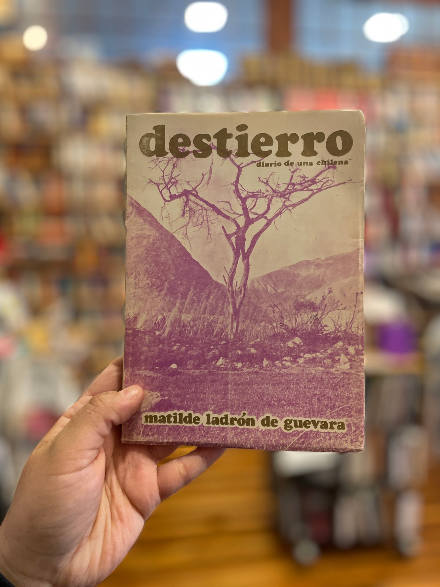 Destierro. Diario de una chilena