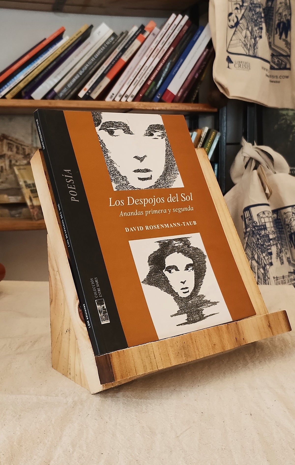 Los Despojos del Sol. Anandas primera y segunda. Libro rescatado del incendio
