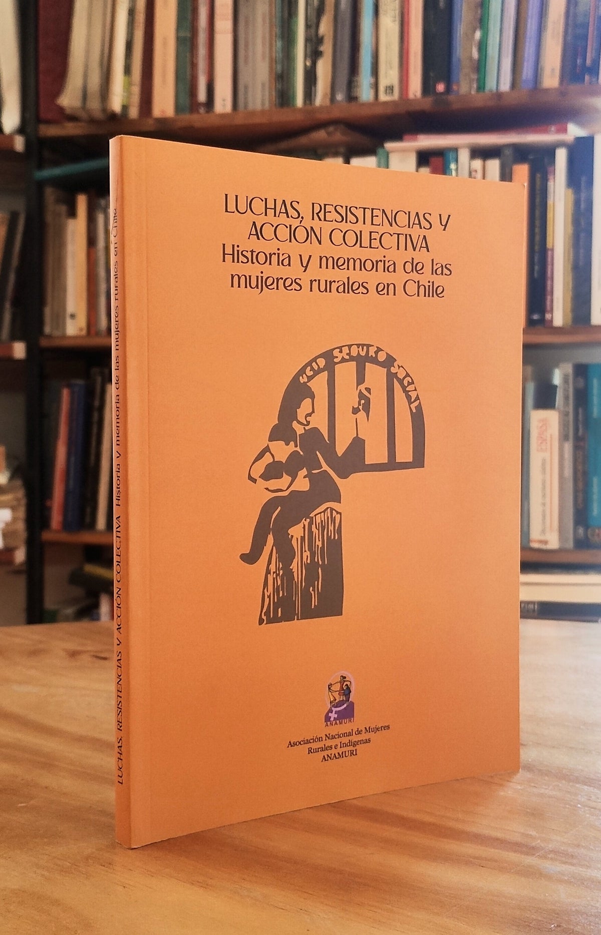 Luchas, resistencias y acción colectiva. Historia y memoria de las mujeres rurales en Chile