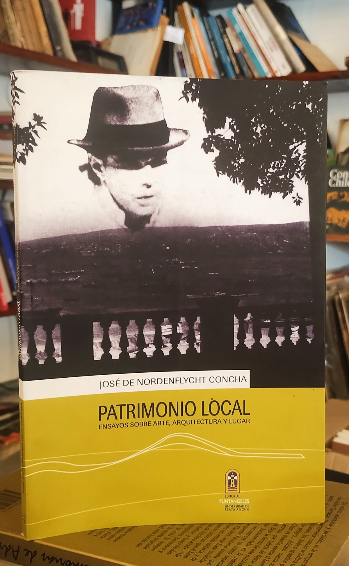 Patrimonio local. Ensayos sobre Arte, Arquitectura y lugar