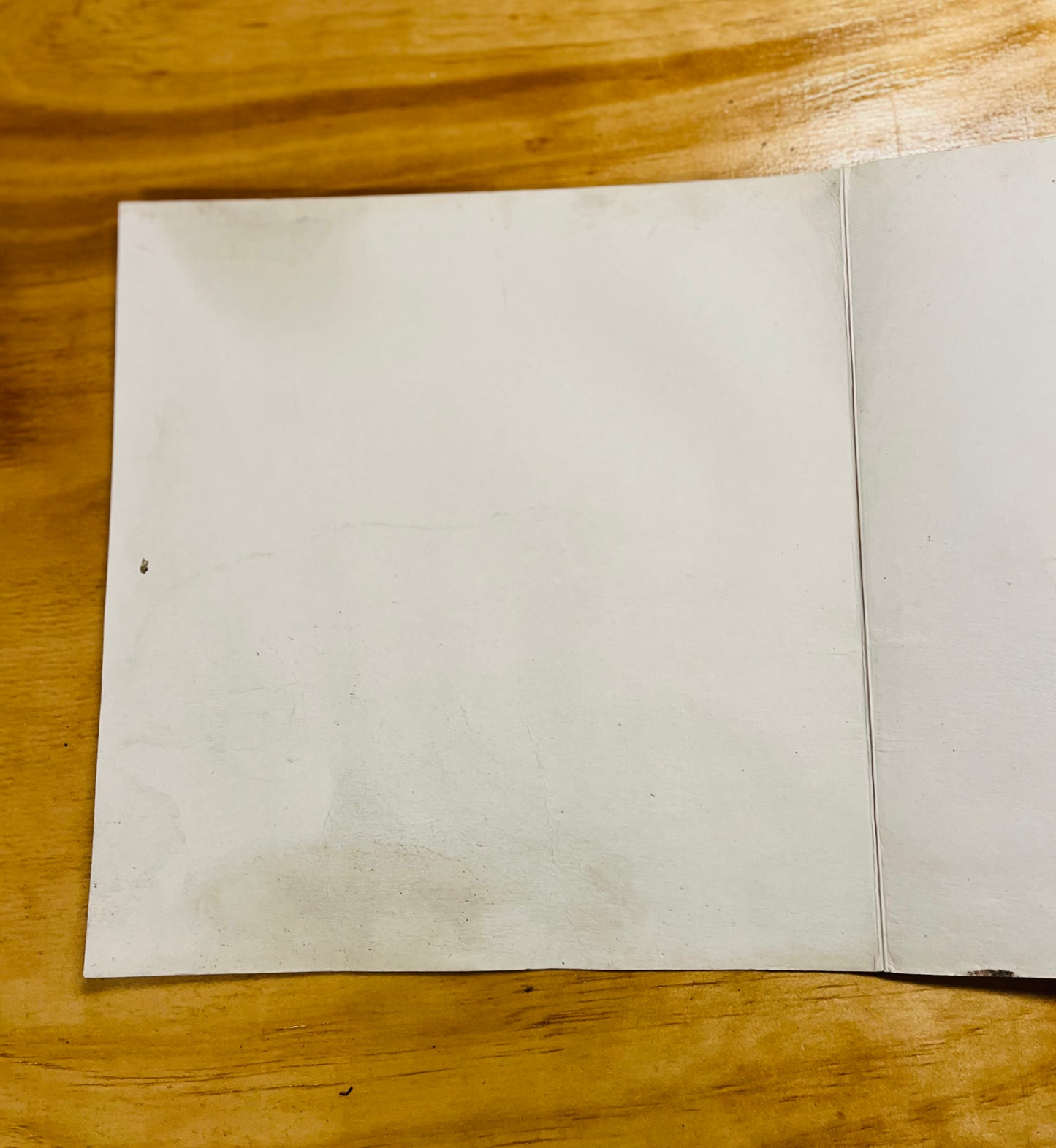 Retrospectiva visual del Centenario de Chile. El mensaje que vende. Libro rescatado del incendio de la Librería Crisis
