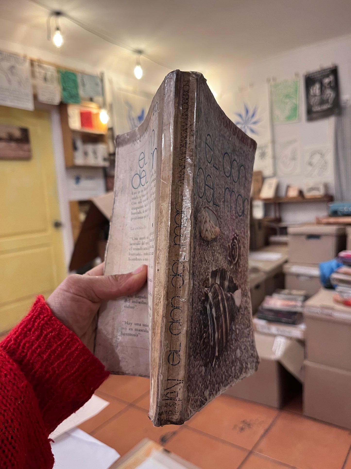 El don del mar. Libro rescatado del incendio
