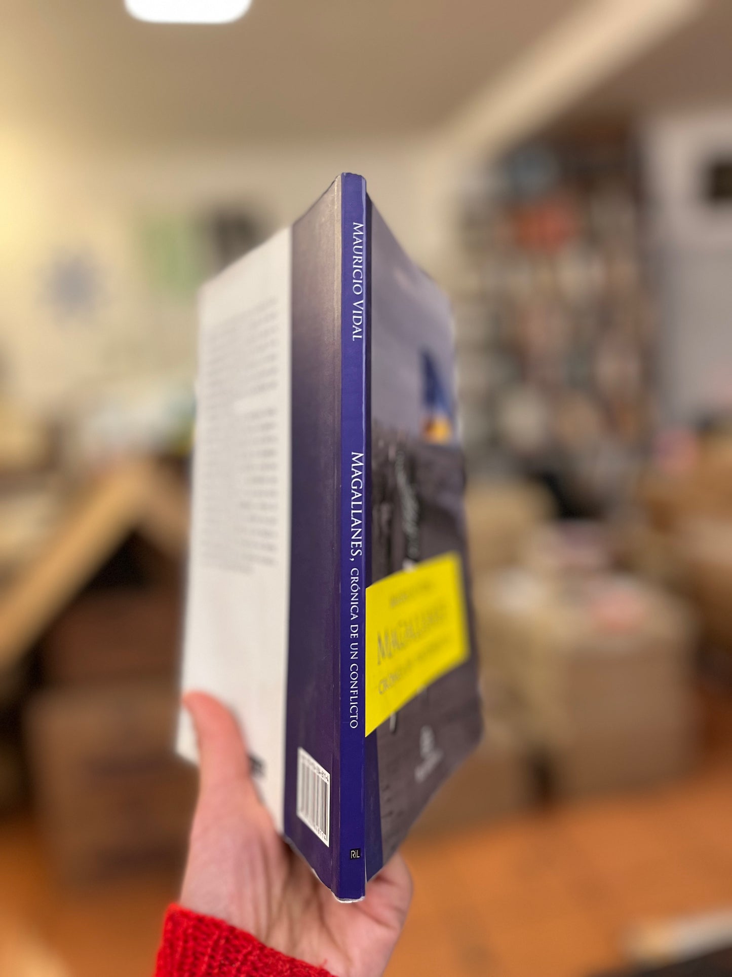 Magallanes. Crónica de un conflicto. Libro rescatado del incendio