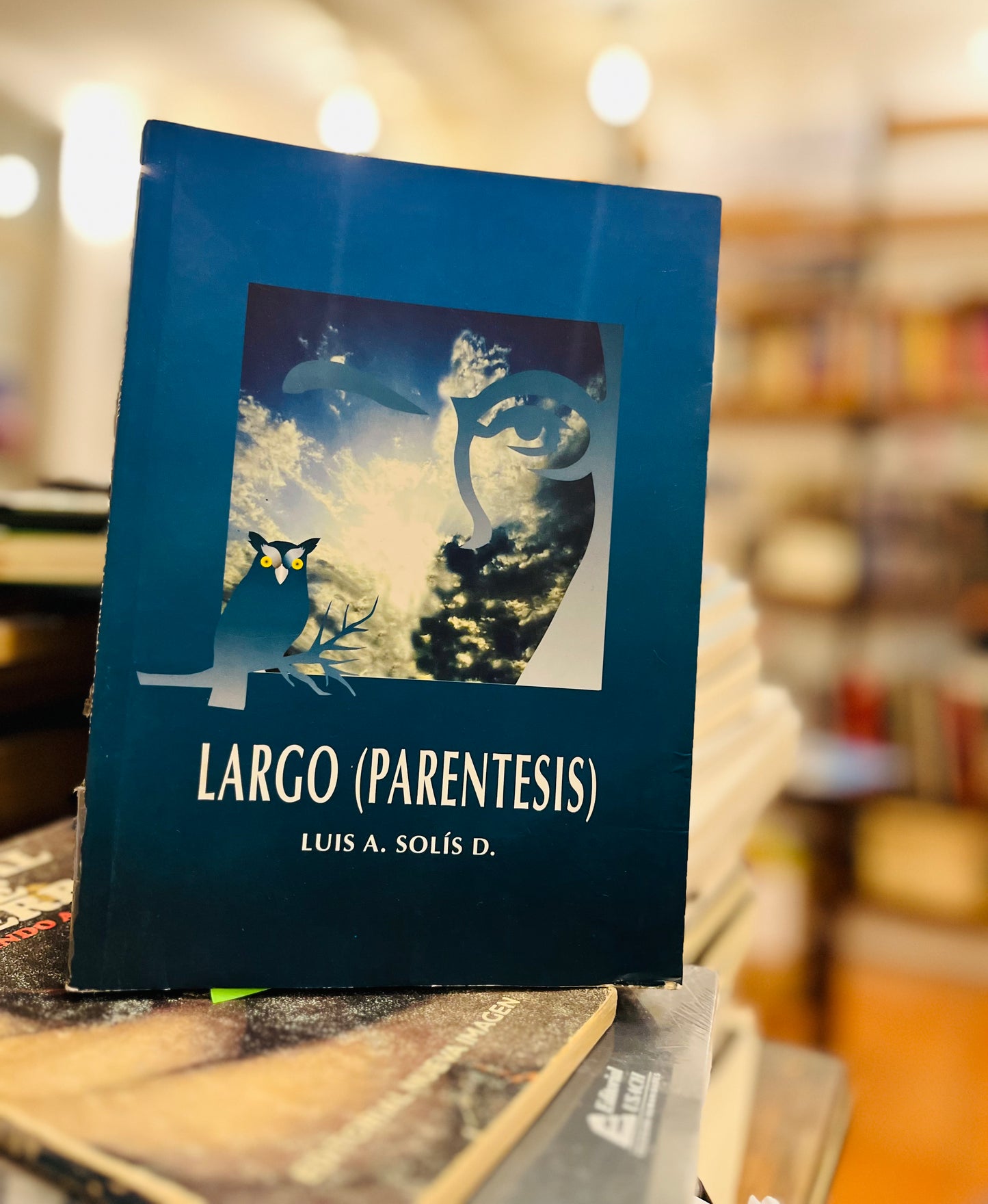 Largo parentesis. Libro rescatado del incendio