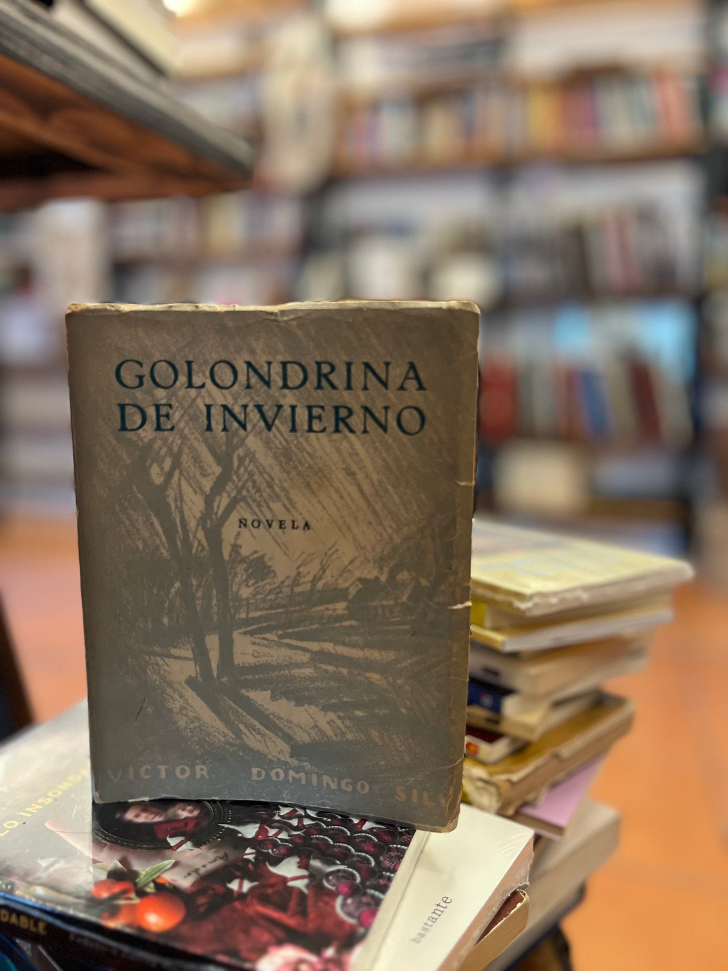 Golondrina de invierno. Libro rescatado del incendio