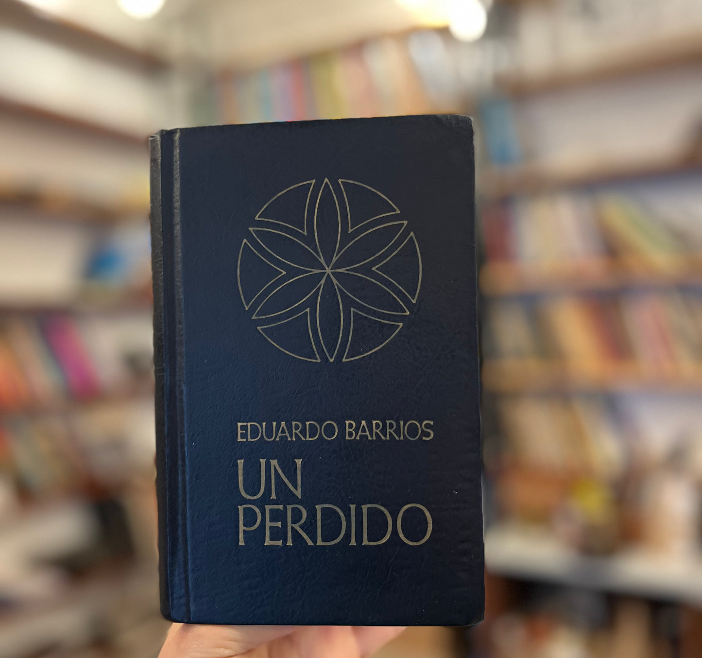 Un perdido