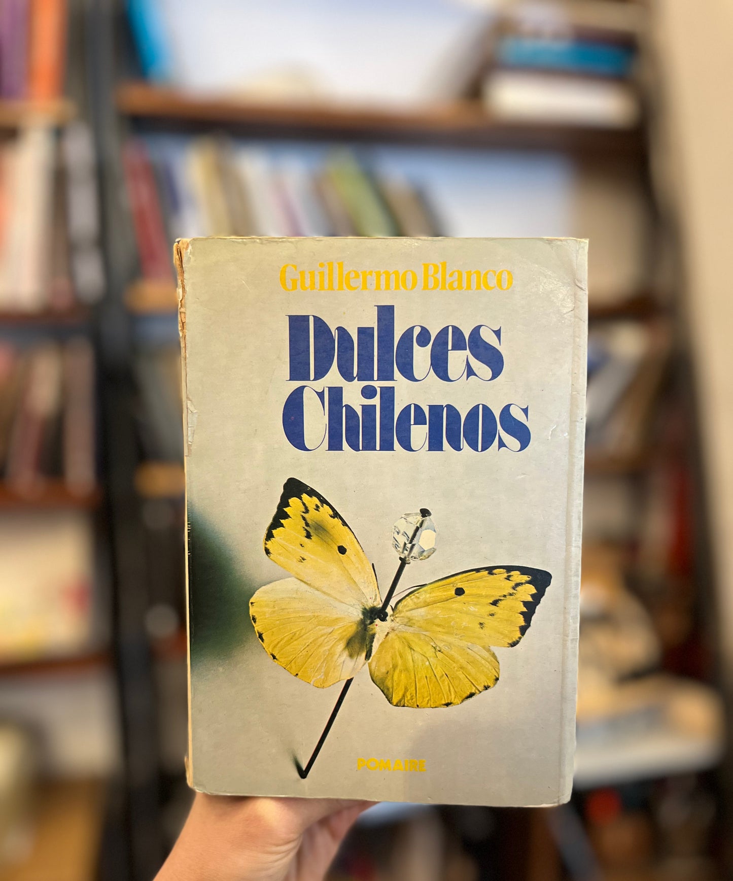Dulces Chilenos