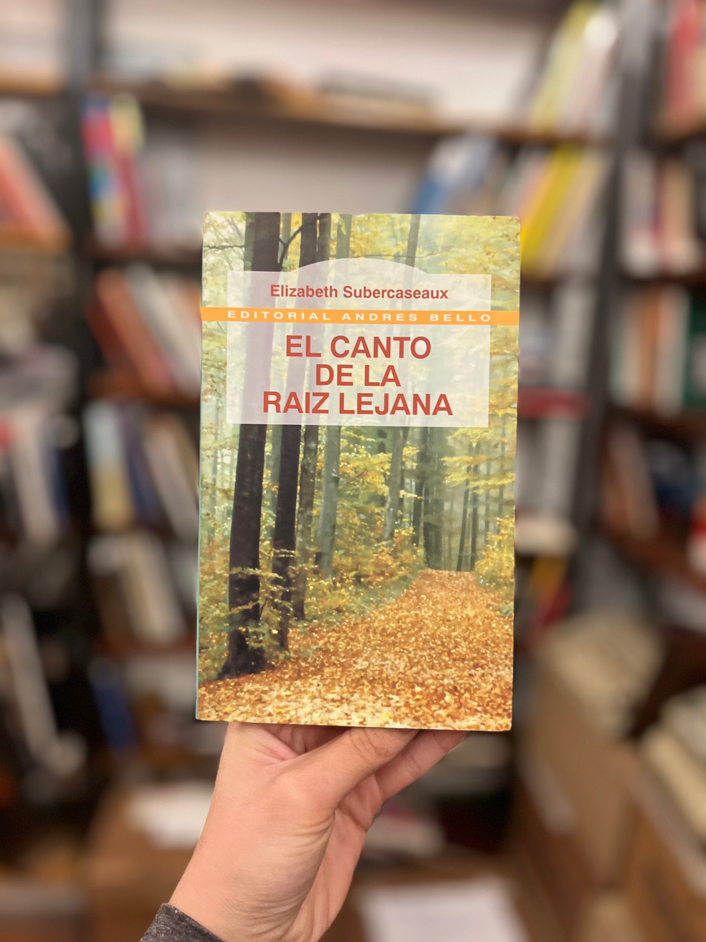 El canto de la raíz lejana