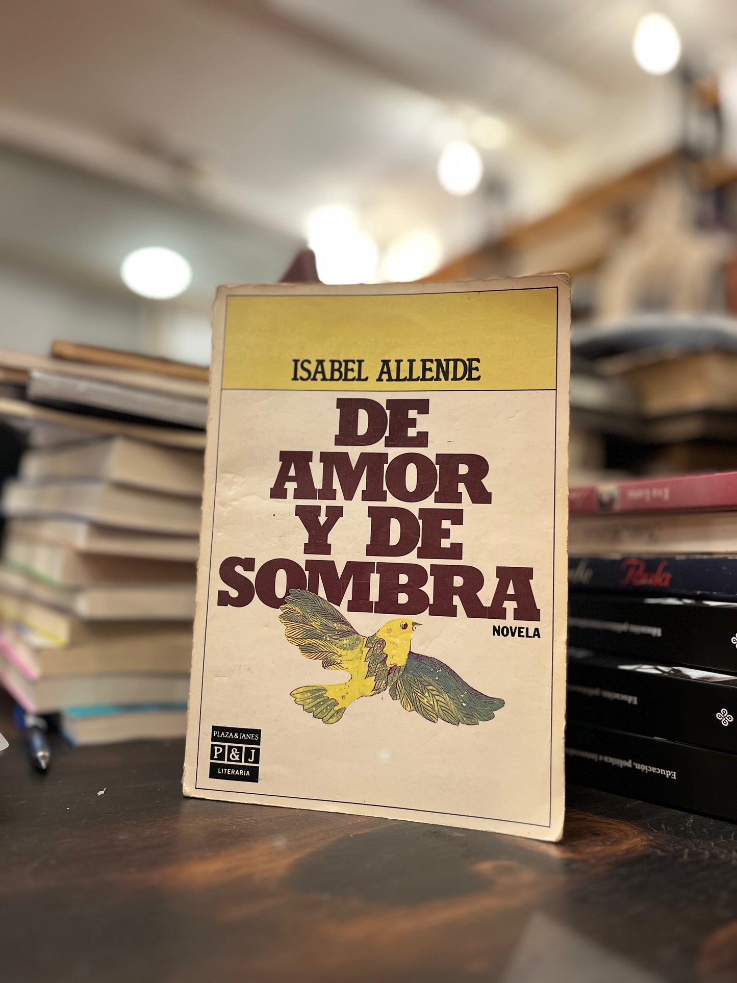 De amor y de sombra