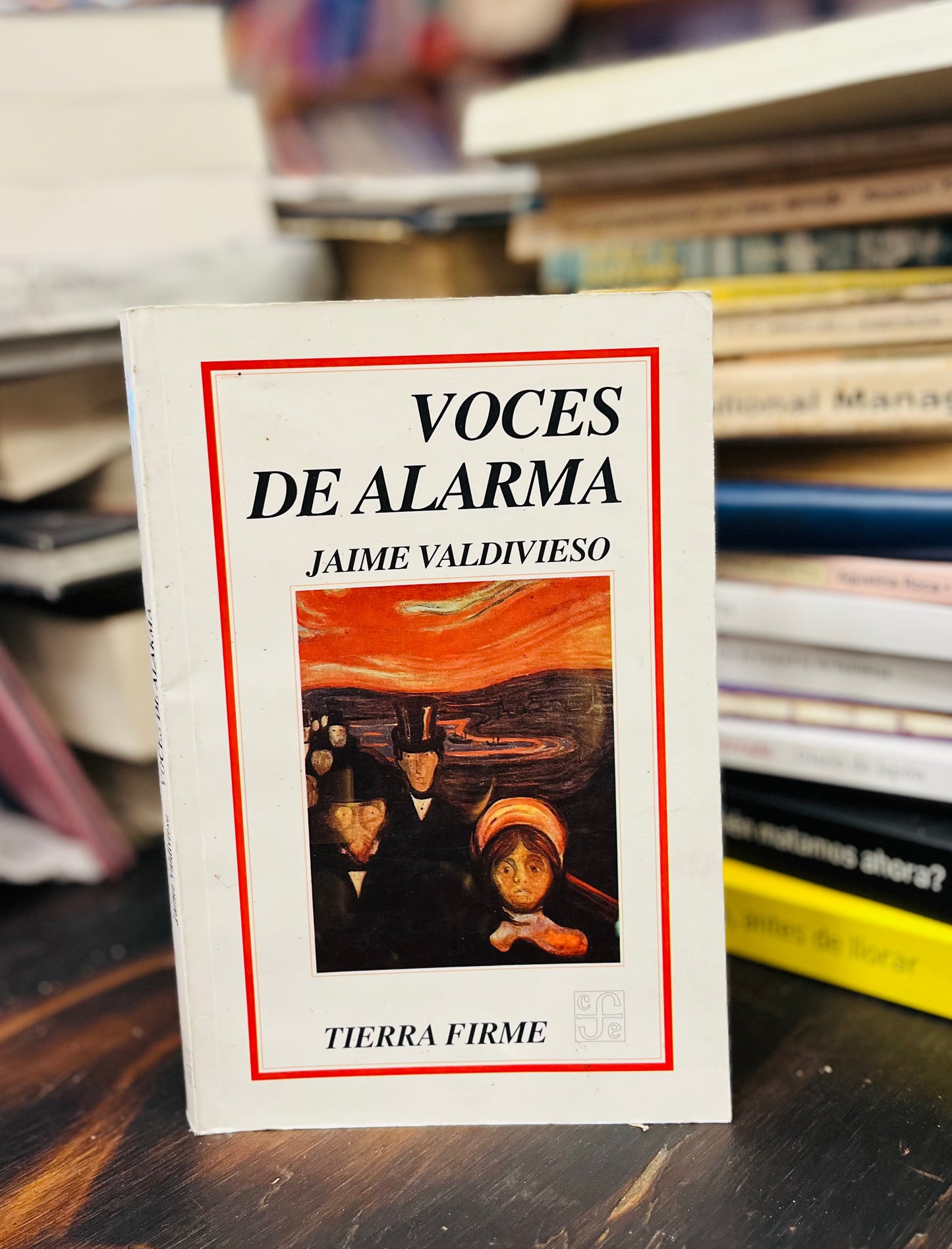 Voces de alarma. Libro rescatado del incendio