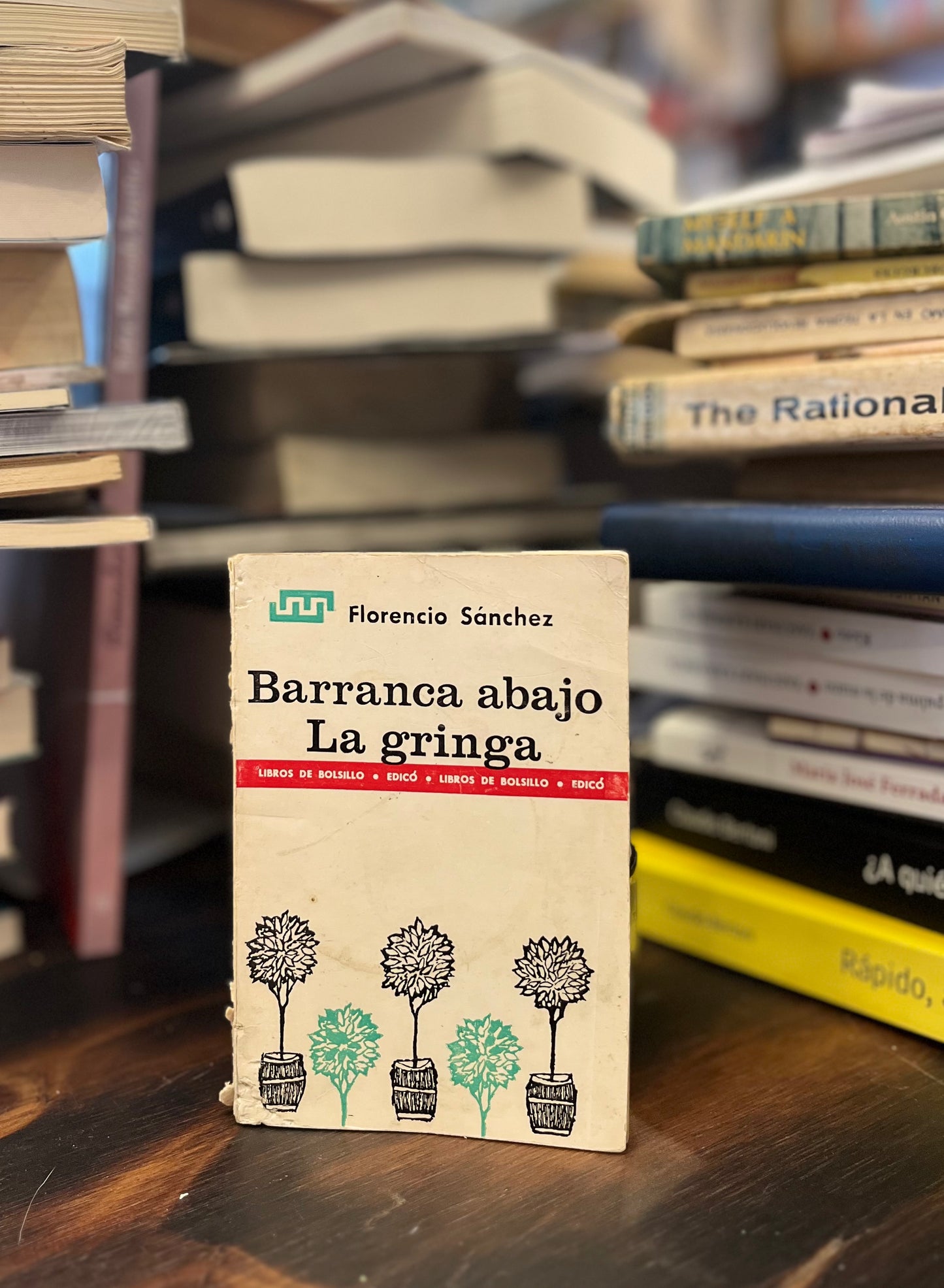 Barranca abajo. La gringa