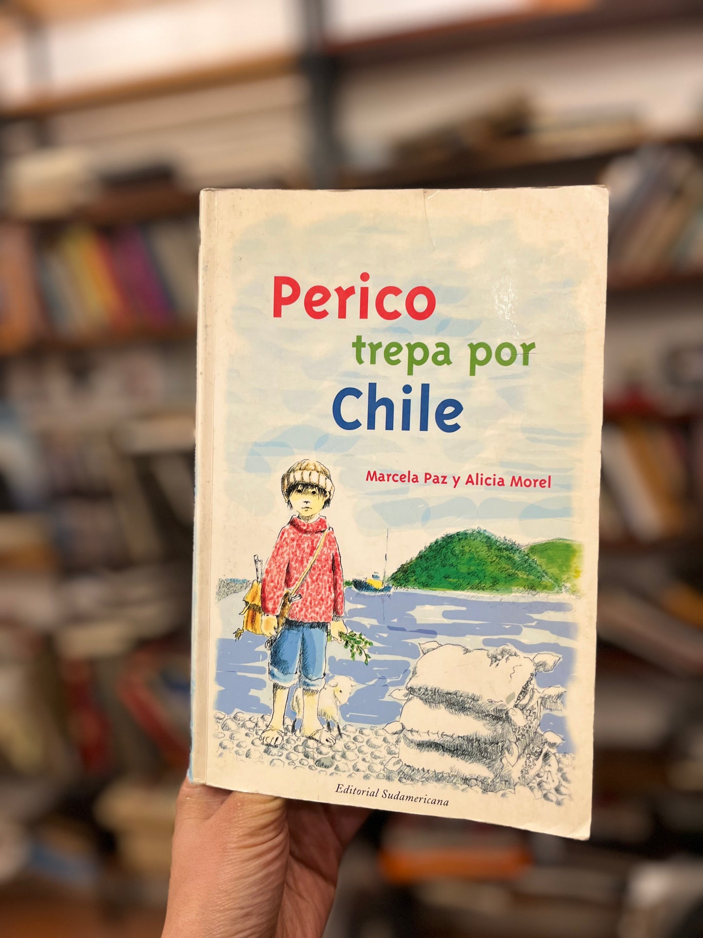 Perico trepa por Chile