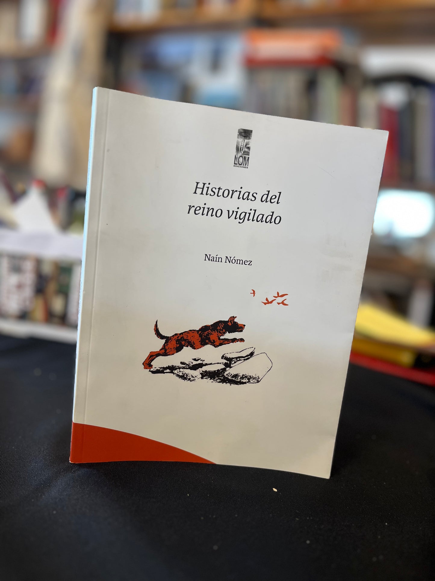 Historias del reino vigilado. Libro rescatado del incendio