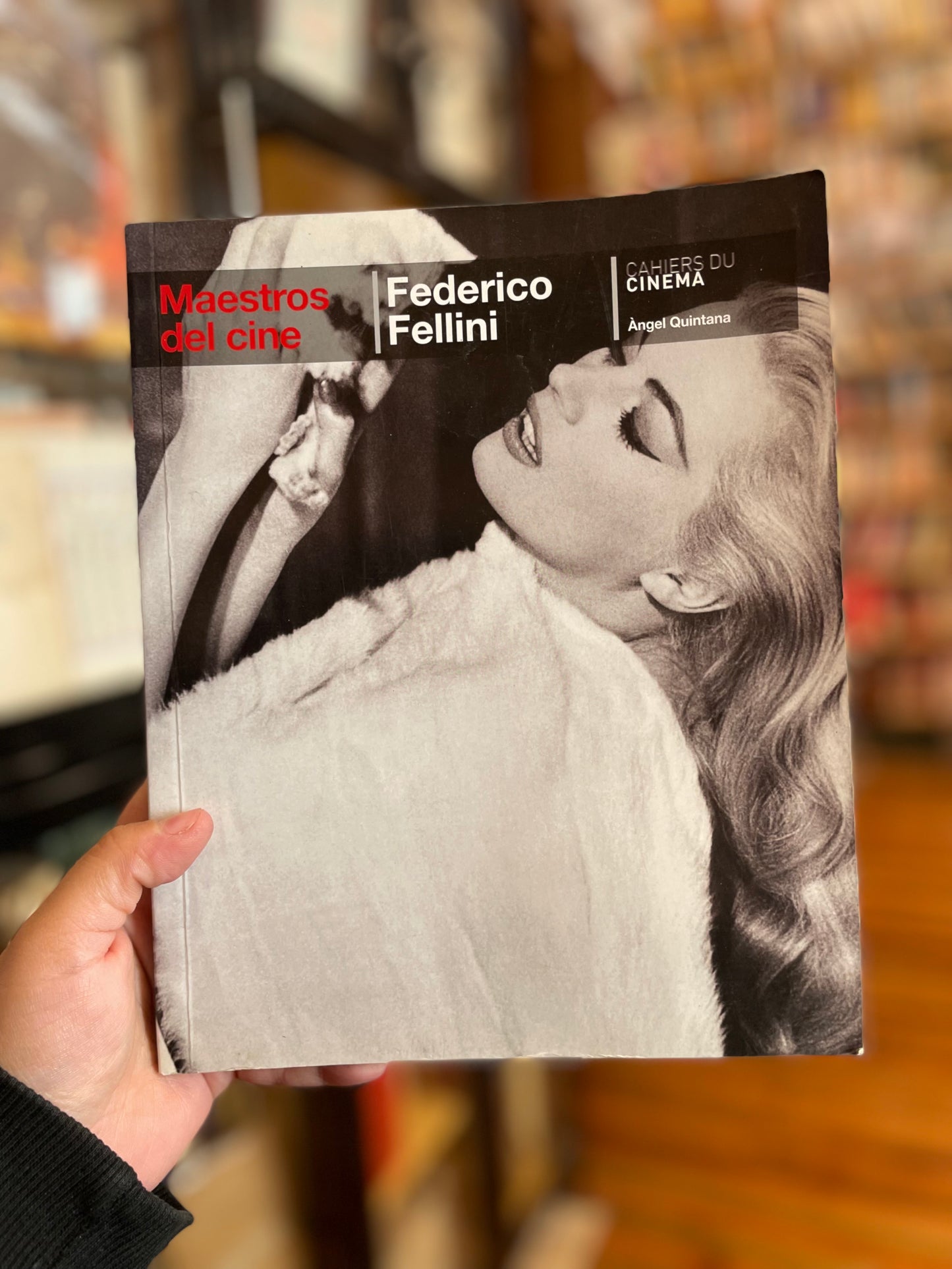 Maestros del cine. Federico Fellini