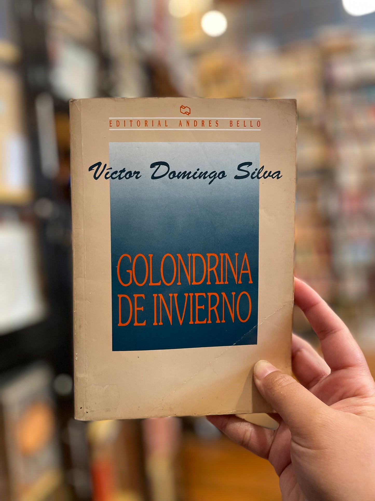 Golondrina de invierno