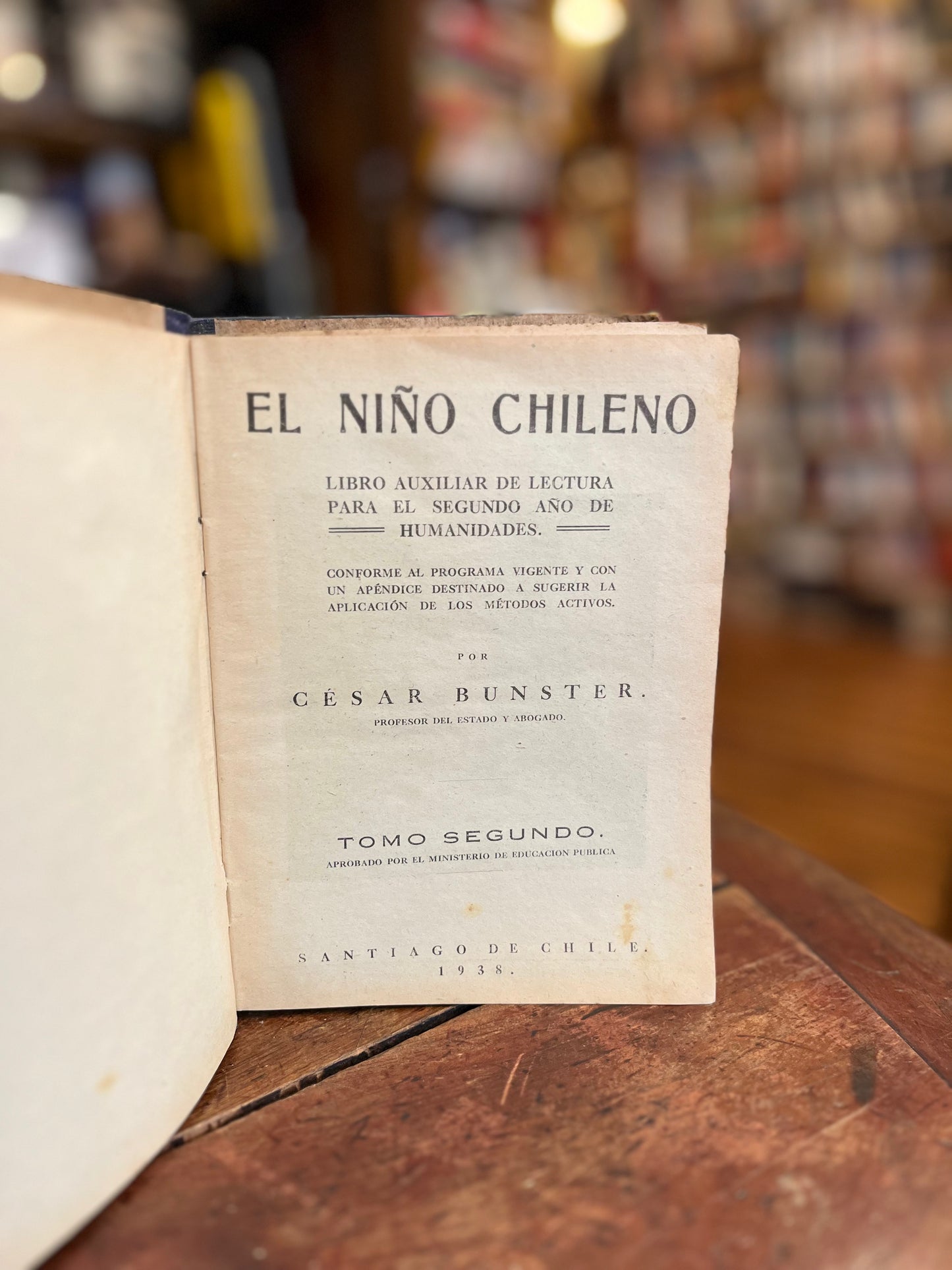 El niño chileno. Libro de lectura 2 año de humanidades. Primera Edición