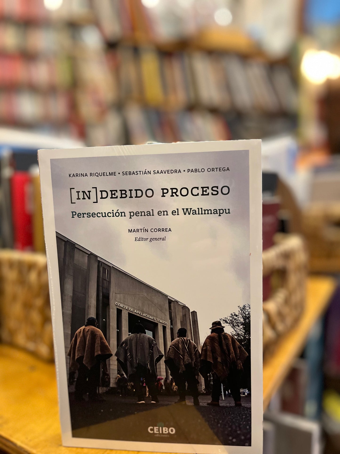 Indebido Proceso; persecución penal en el Wallmapu.