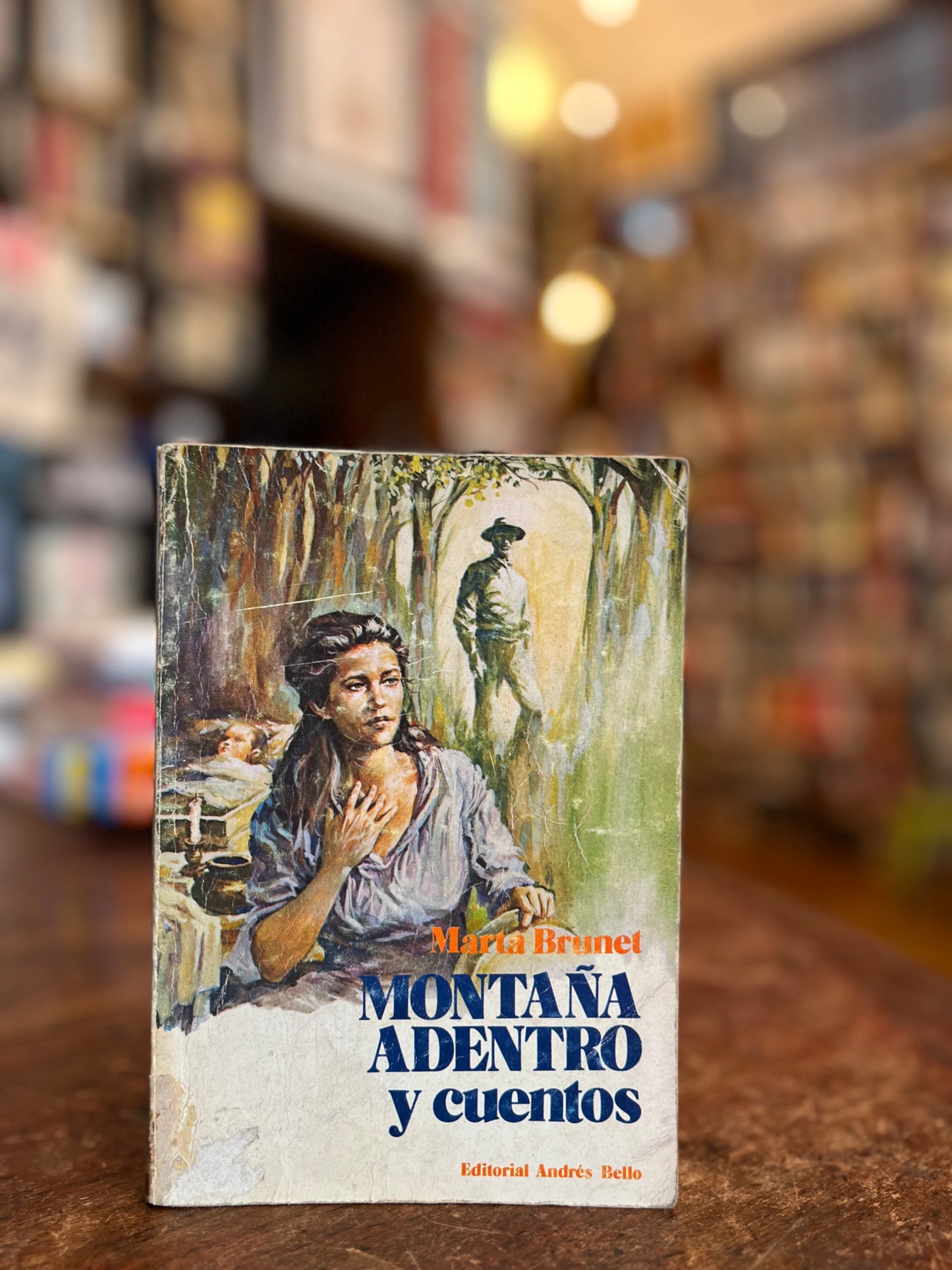 Montaña adentro y otros cuentos