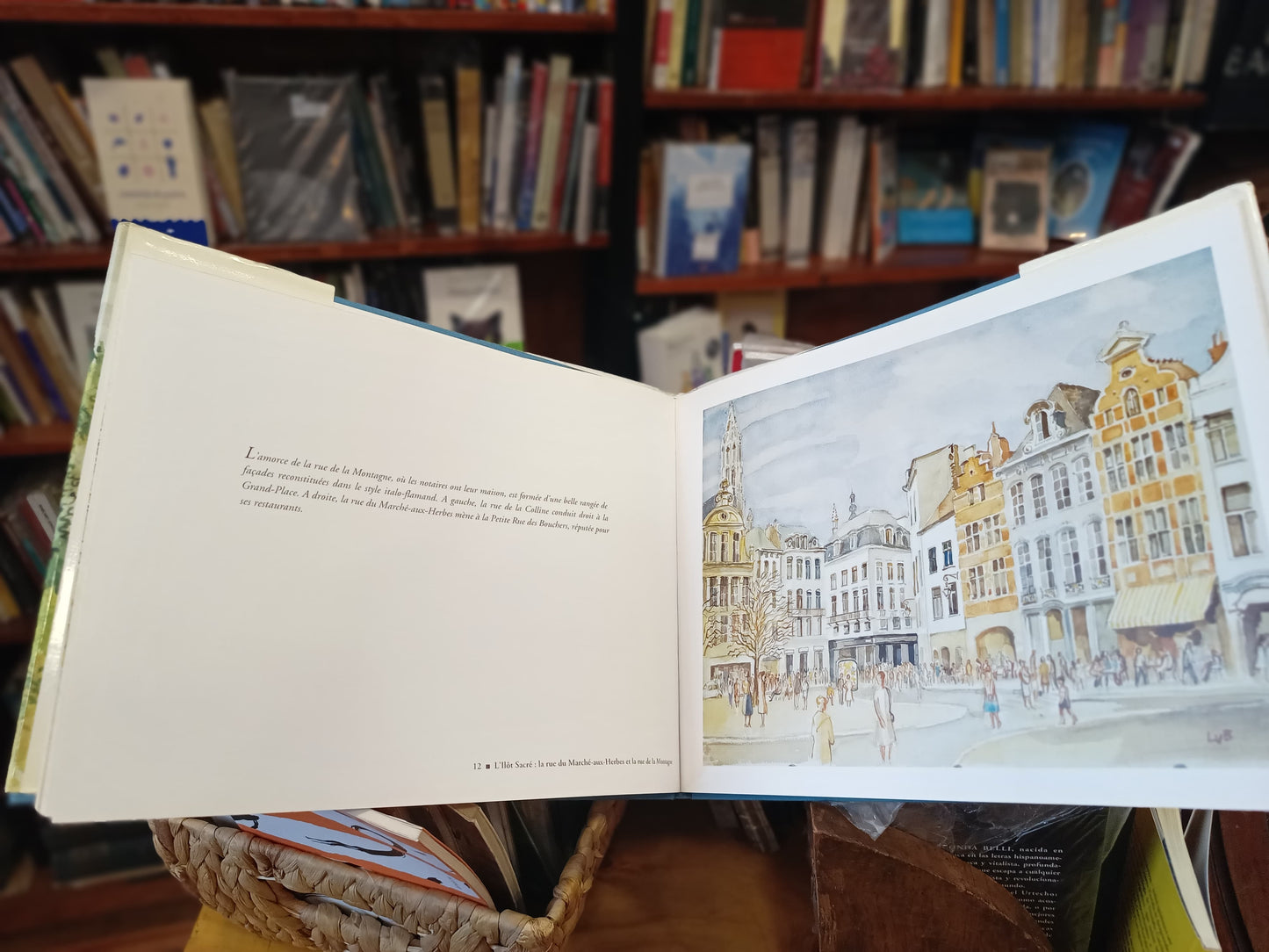 Bruxelles en aquarelles