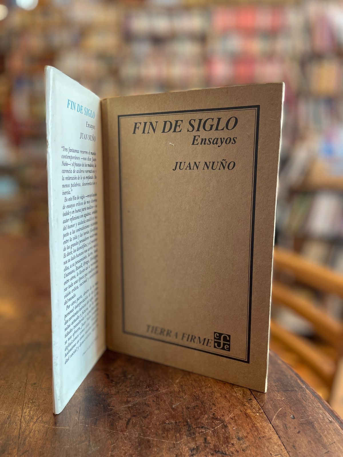 Fin de siglo; ensayos