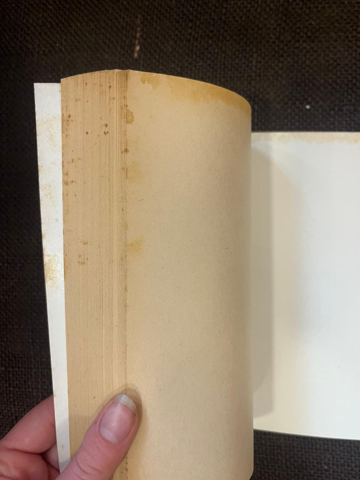 El embrujo de Sevilla