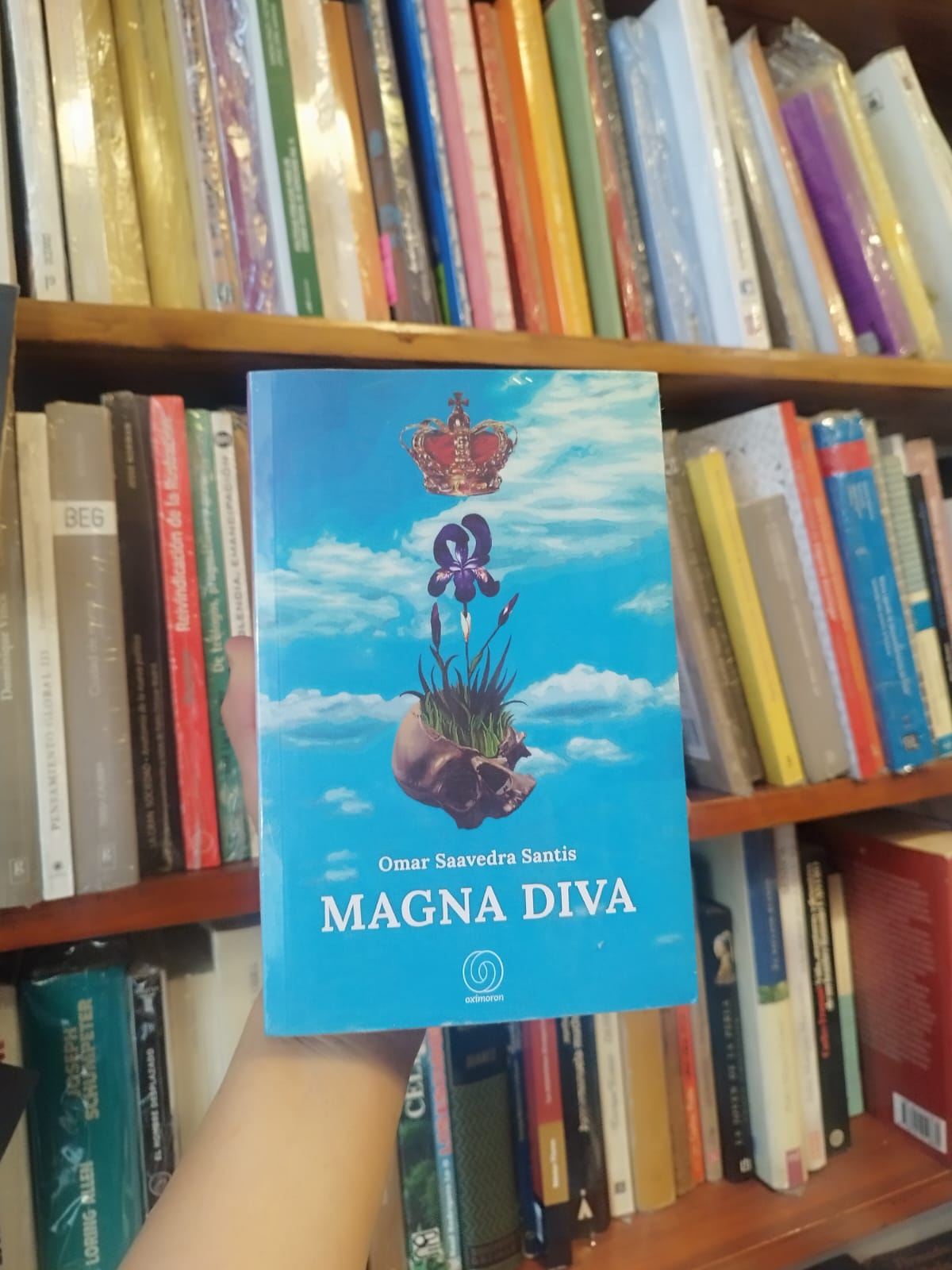 Magna diva