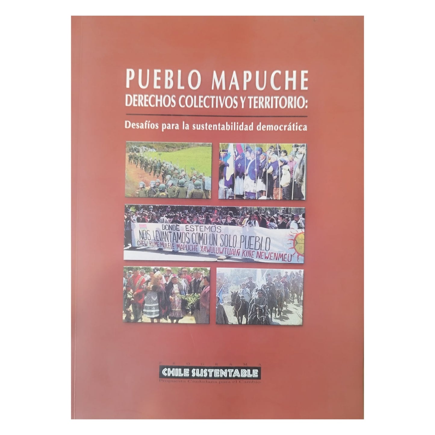 Pueblo Mapuche