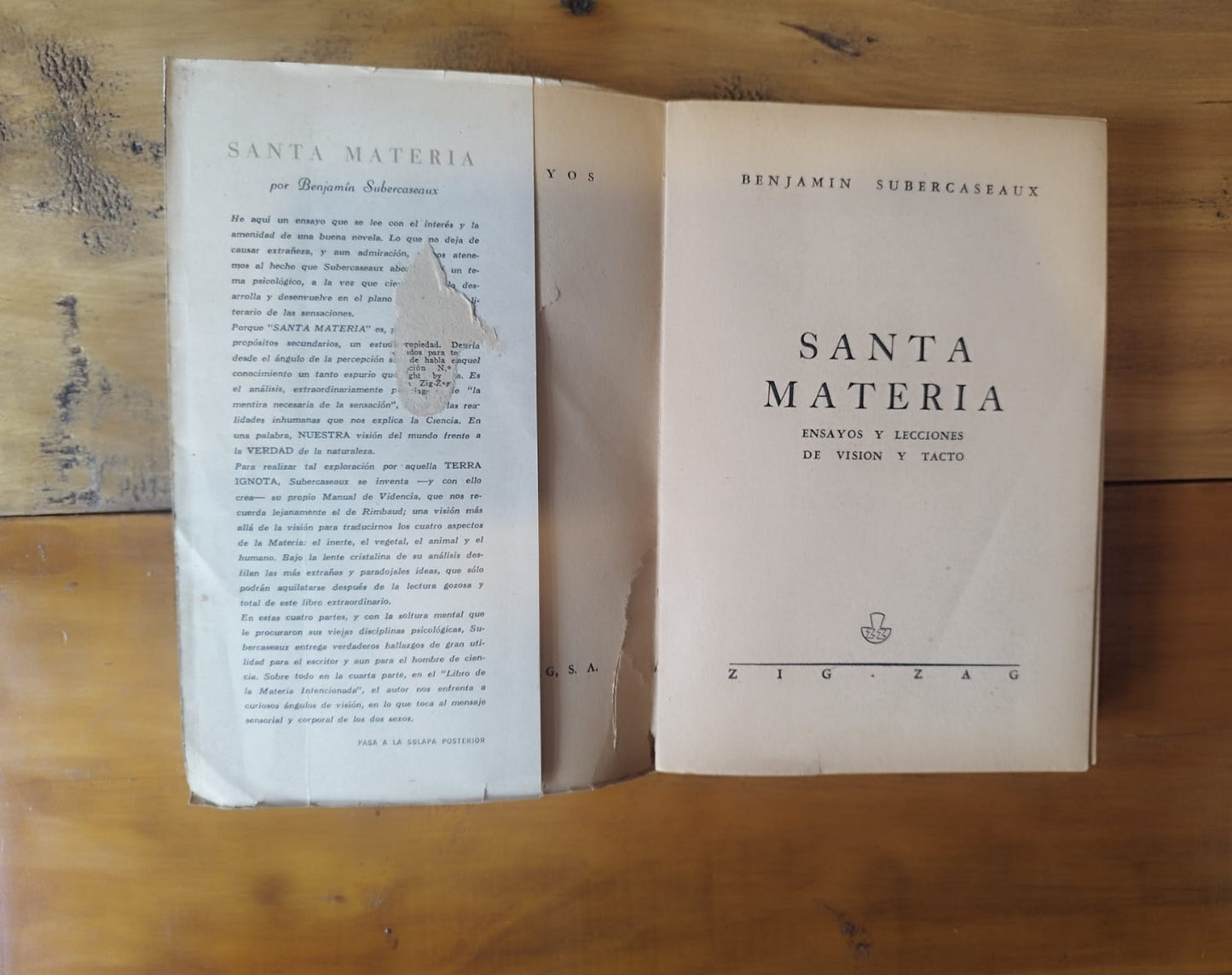 Santa Materia. Ensayos y lecciones de visión y tacto