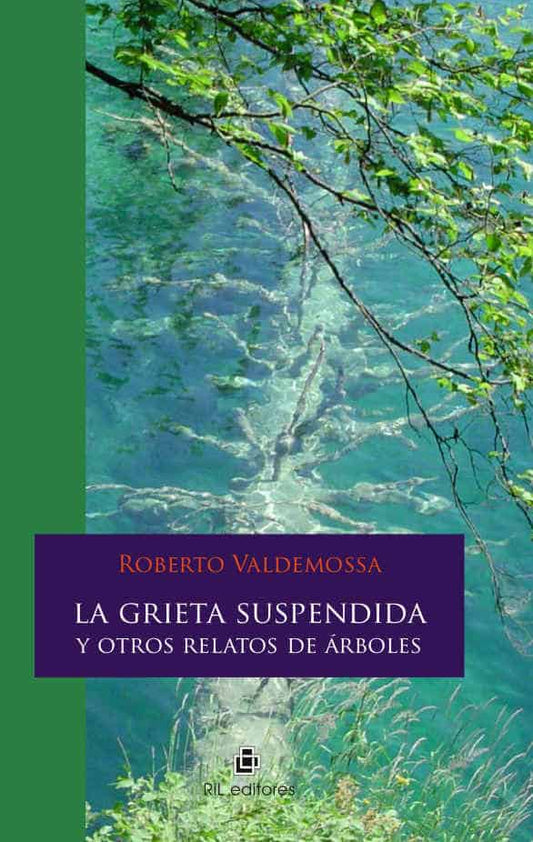 La grieta suspendida y otros relatos de árboles