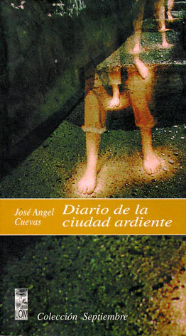 Diario de una ciudad ardiente