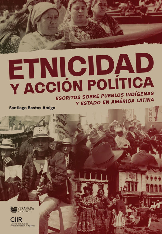 Etnicidad y acción política
