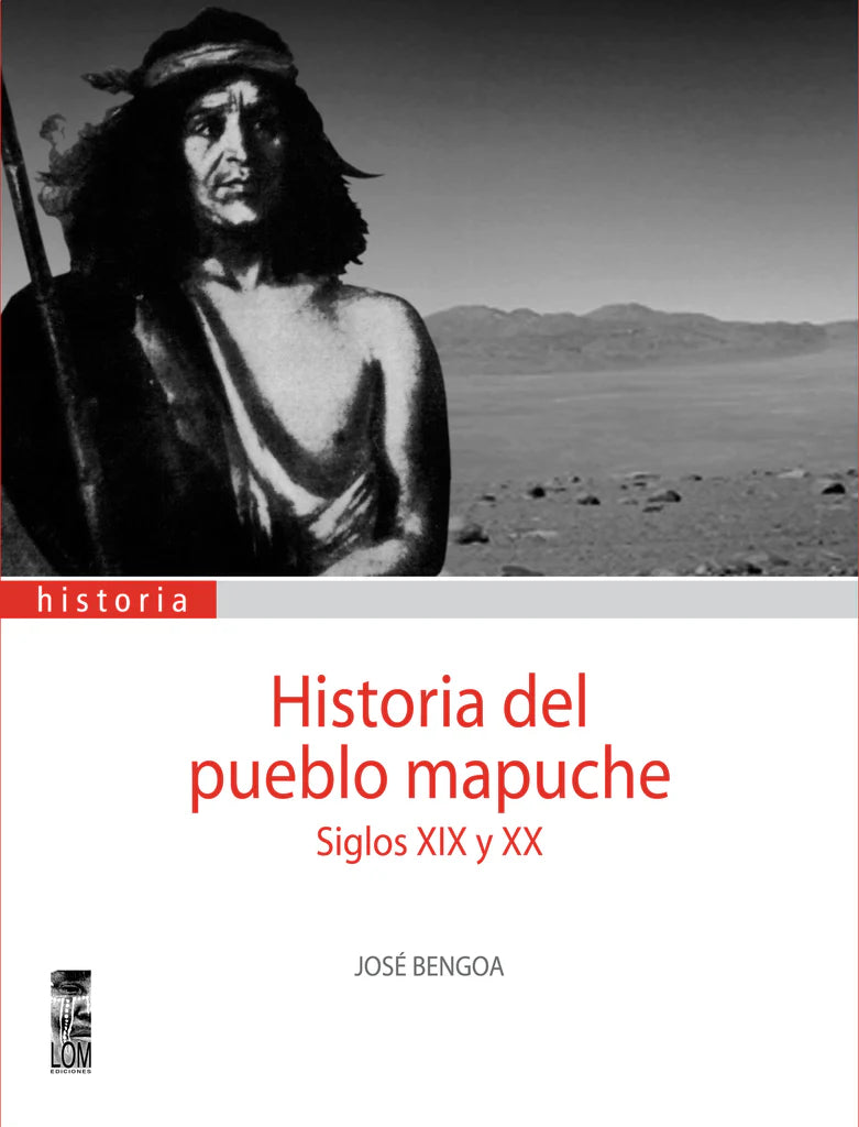 Historia del pueblo mapuche. Siglo XIX-XX