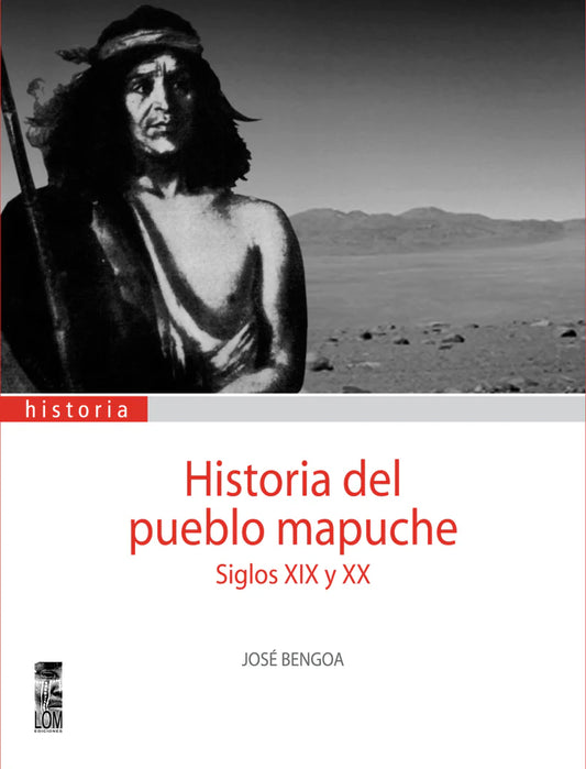 Historia del pueblo mapuche. Siglo XIX-XX