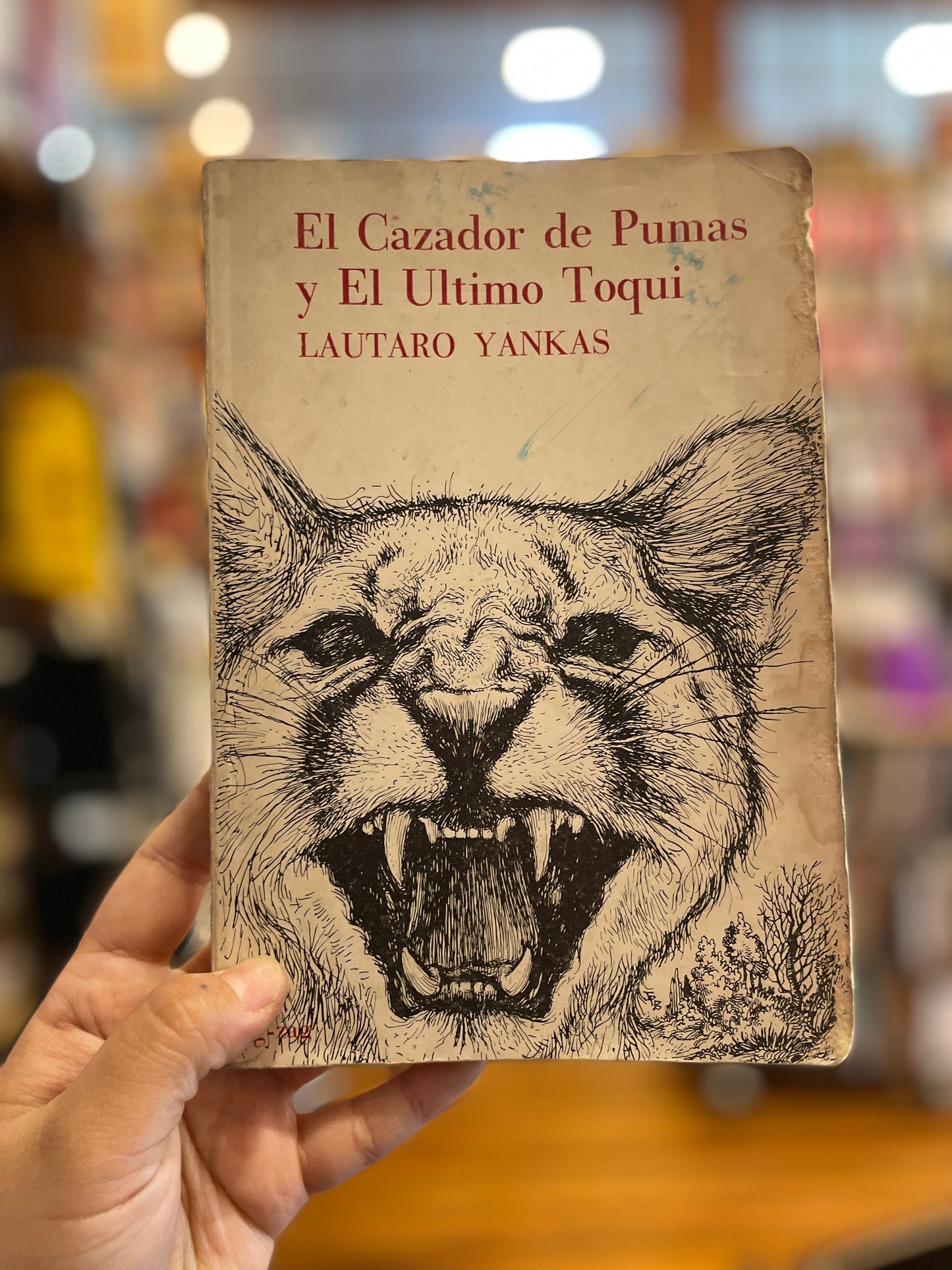 El cazador de pumas y el último Toqui