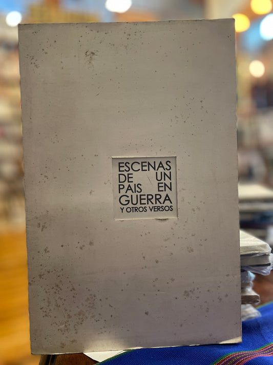 Escenas de un país en guerra y otros versos