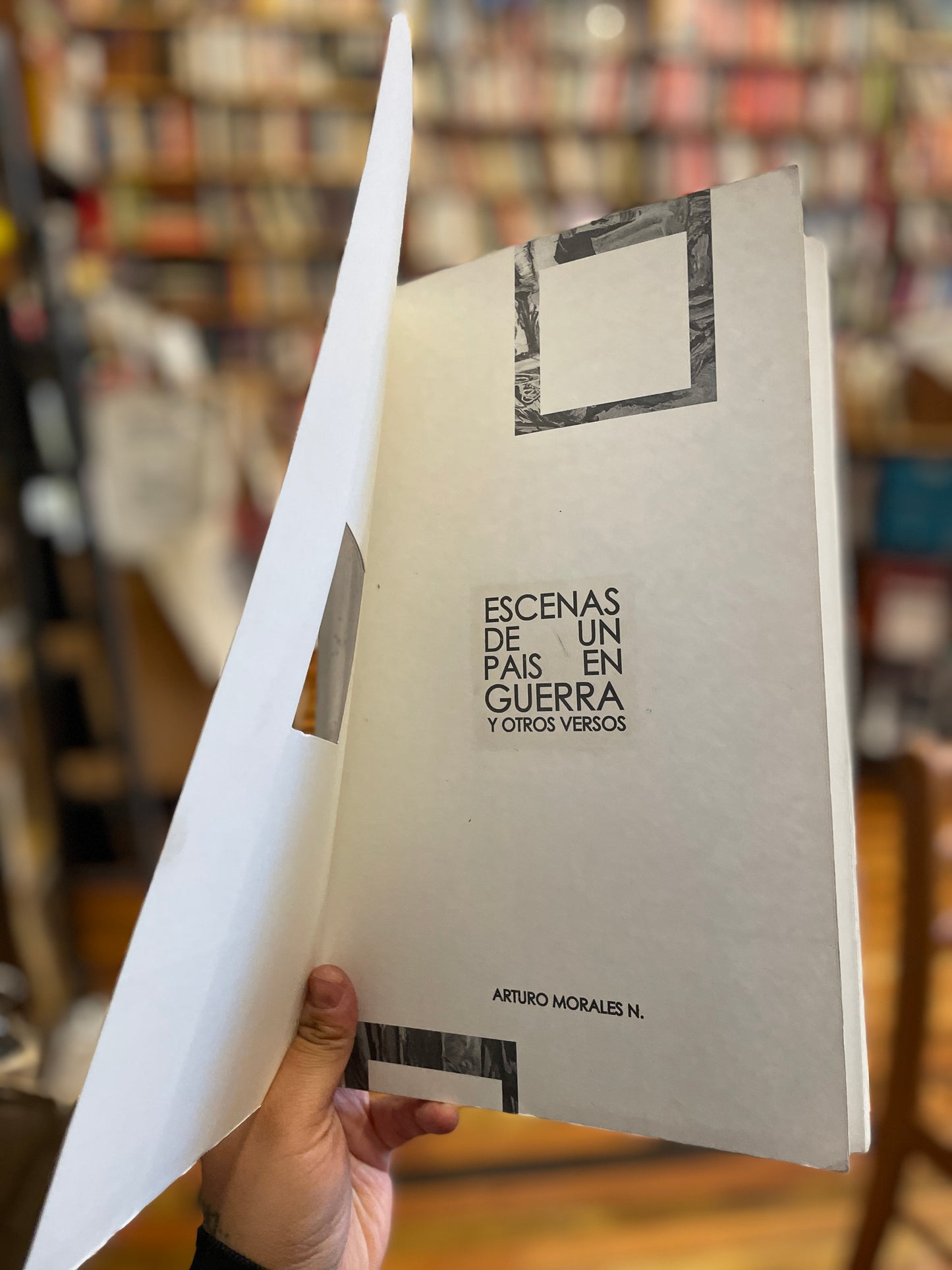 Escenas de un país en guerra y otros versos