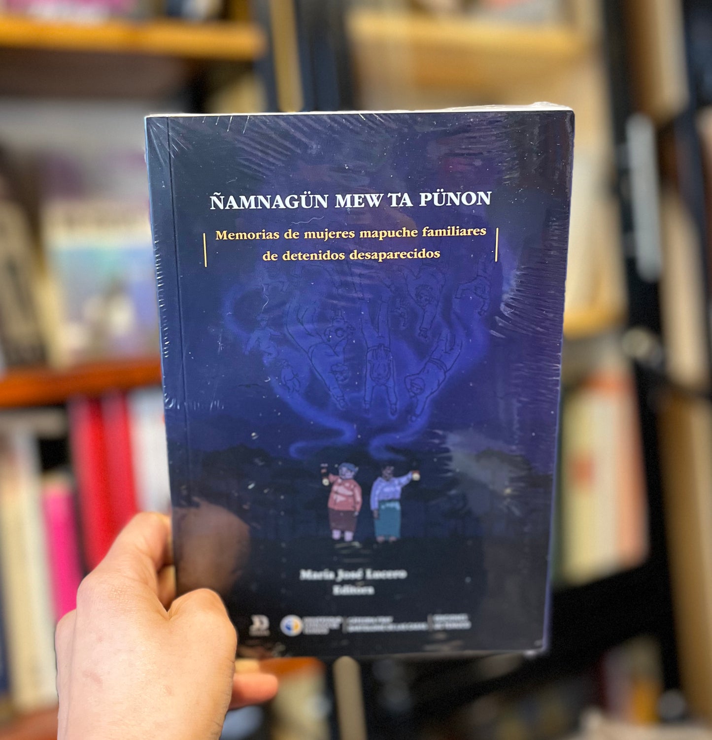 Ñamnagün mew ta pünon. Memorias de mujeres mapuche familiares de detenidos desaparecidos