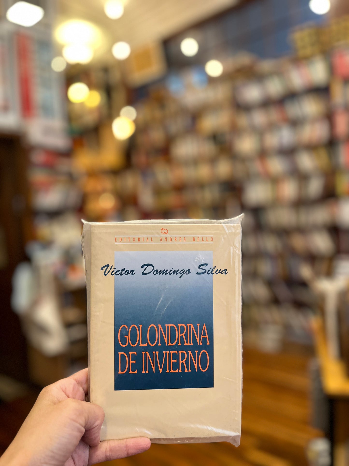Golondrina de invierno