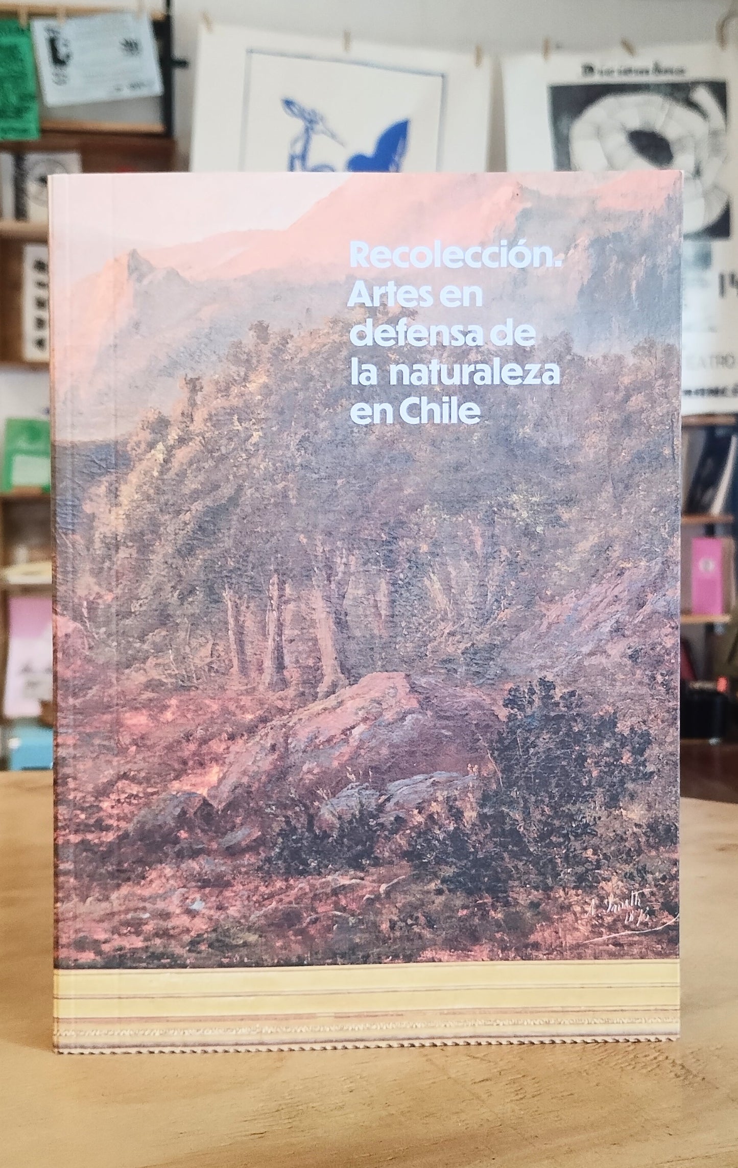 Recolección. Artes en defensa de la naturaleza en Chile