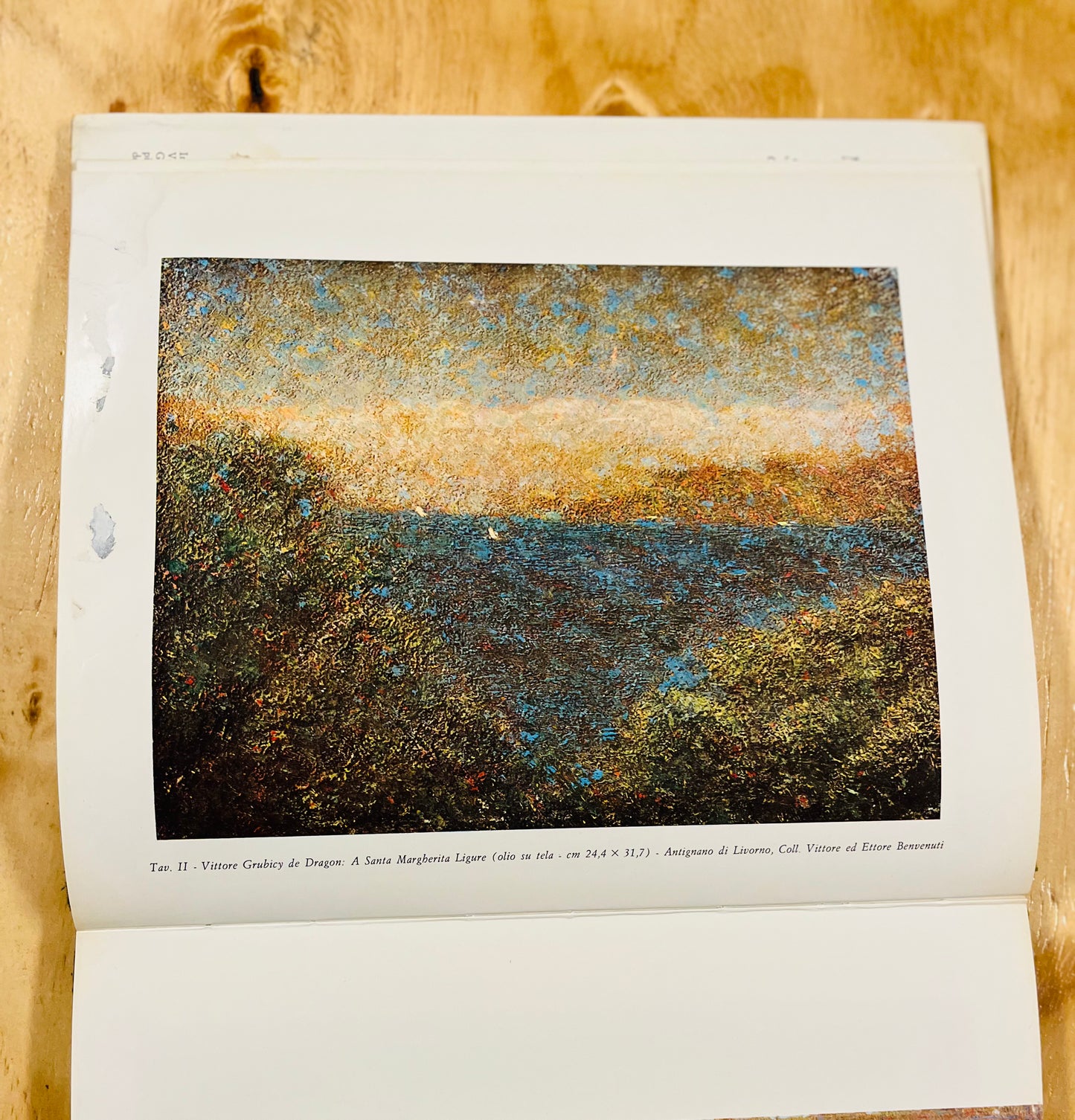 Mensili d´Arte. Tomo 9: Il Paessagio nella pintura piemontese dell' Ottocento