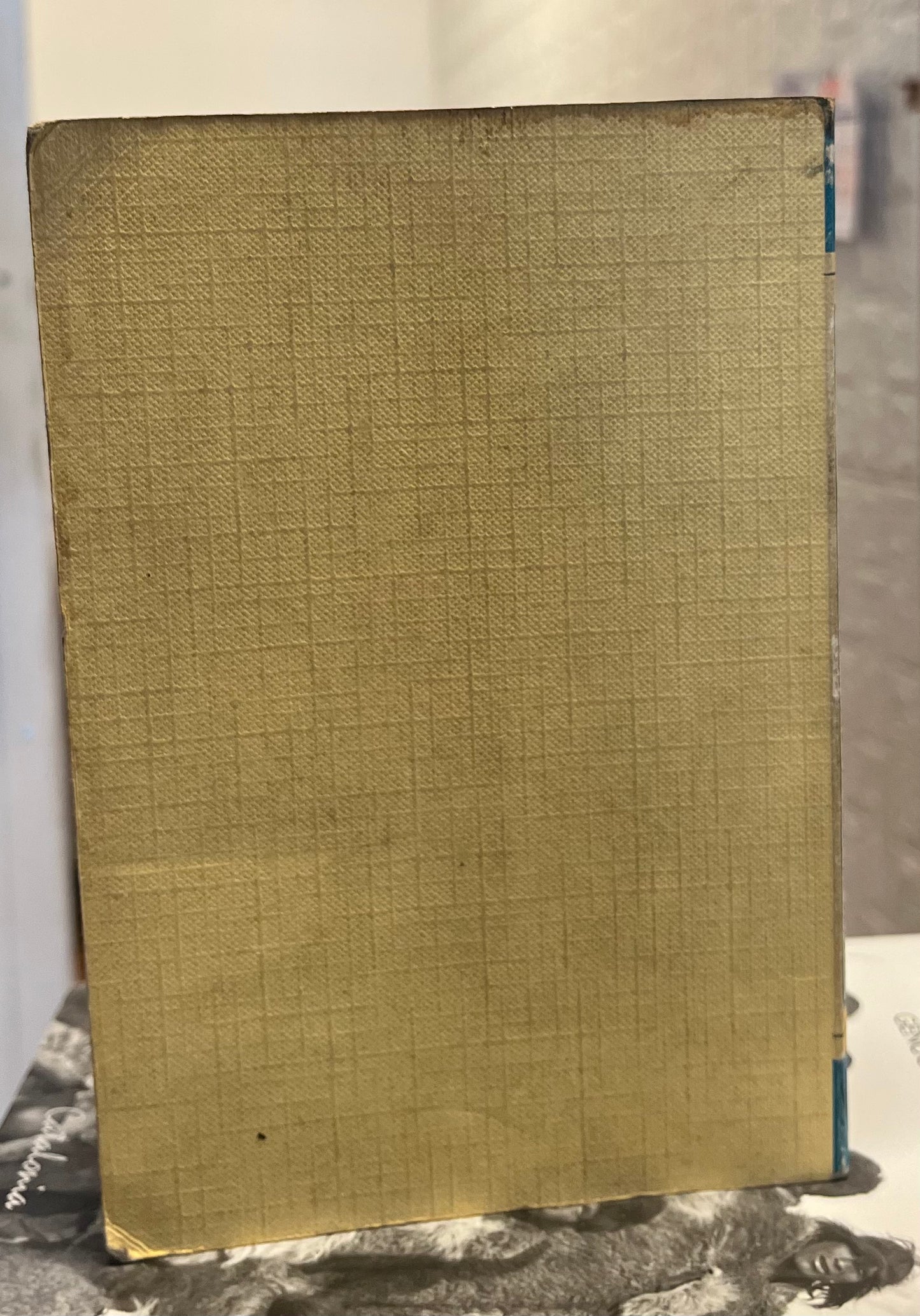 Fuente ovejuna. Caballero de Olmedo. Libro rescatado del incendio.